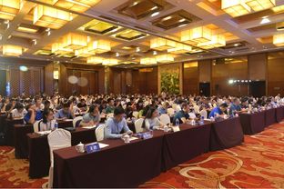 深度票據(jù)網(wǎng)2019商票生態(tài)峰會暨票據(jù)經(jīng)紀(jì)商轉(zhuǎn)型研討會隆重舉行，共繪貿(mào)易經(jīng)紀(jì)新藍(lán)圖